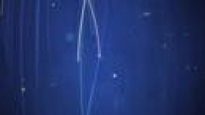 Noticias Andalucía - Noticias Andalucía - 15/11/2021