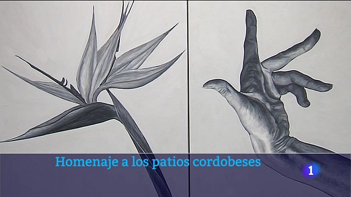 Noticias Andalucía - El dedo verde: Un homenaje a los patios cordobeses