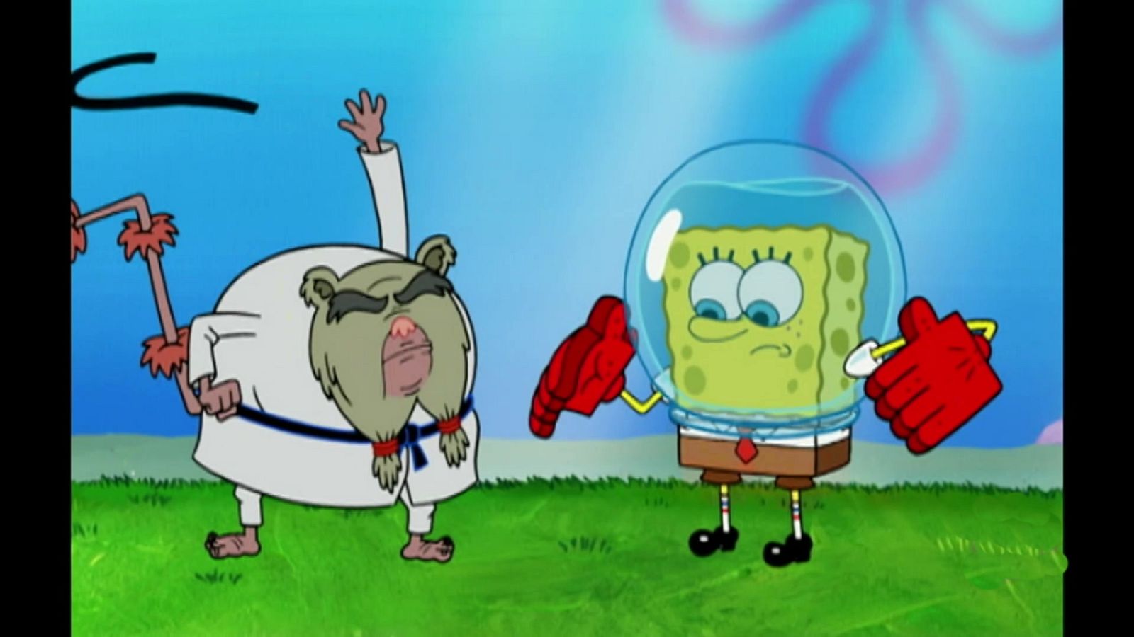 The way of the sponge