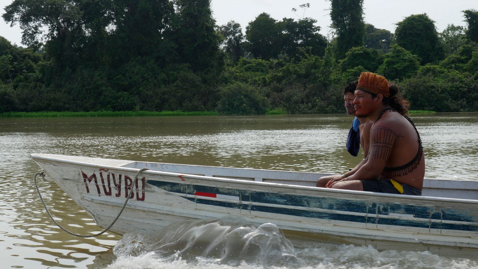 Amazonía, el mundo perdido - Episodio 3 - Documental en RTVE