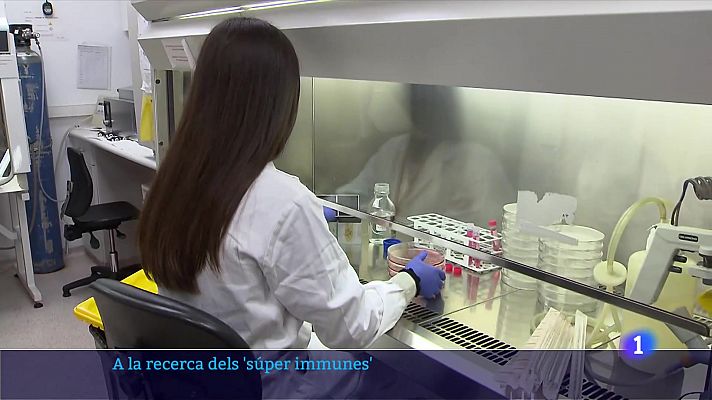 Es busquen 'superimmunes' de la COID-19 per a un estudi internacional