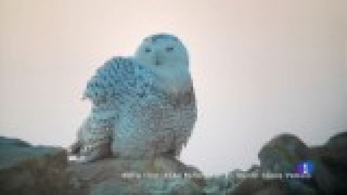 Panorama Regional - Panorama Regional - 16/11/21