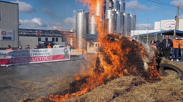 La crisis del sector ganadero se agudiza: venden la leche más barata de lo que les cuesta