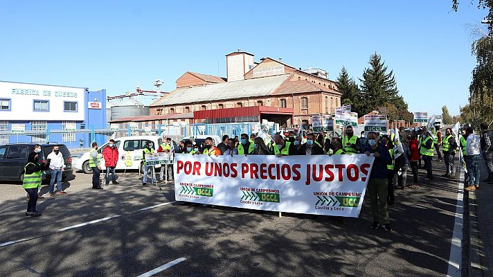 Telediario 2 - Los ganaderos denuncian que cada vez ganan menos por cada litro de leche mientras las industrias logran beneficios récord