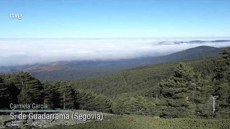 Viento fuerte en Ampurdán, con intervalos de fuerte en el norte de Baleares, Estrecho, Alborán y litoral noroeste de Galicia - ver ahora