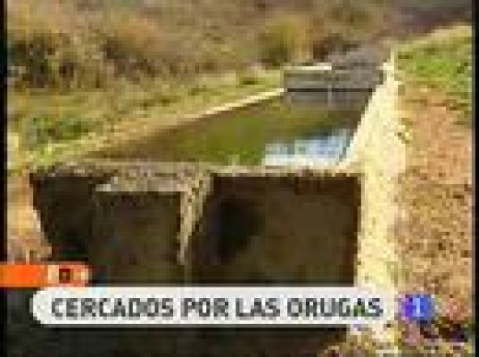 España Directo - Cercados por las orugas