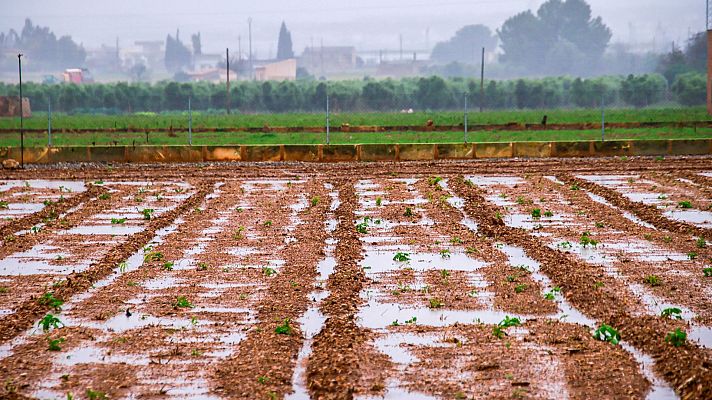 Chubascos y tormentas en el sureste peninsular y Baleares