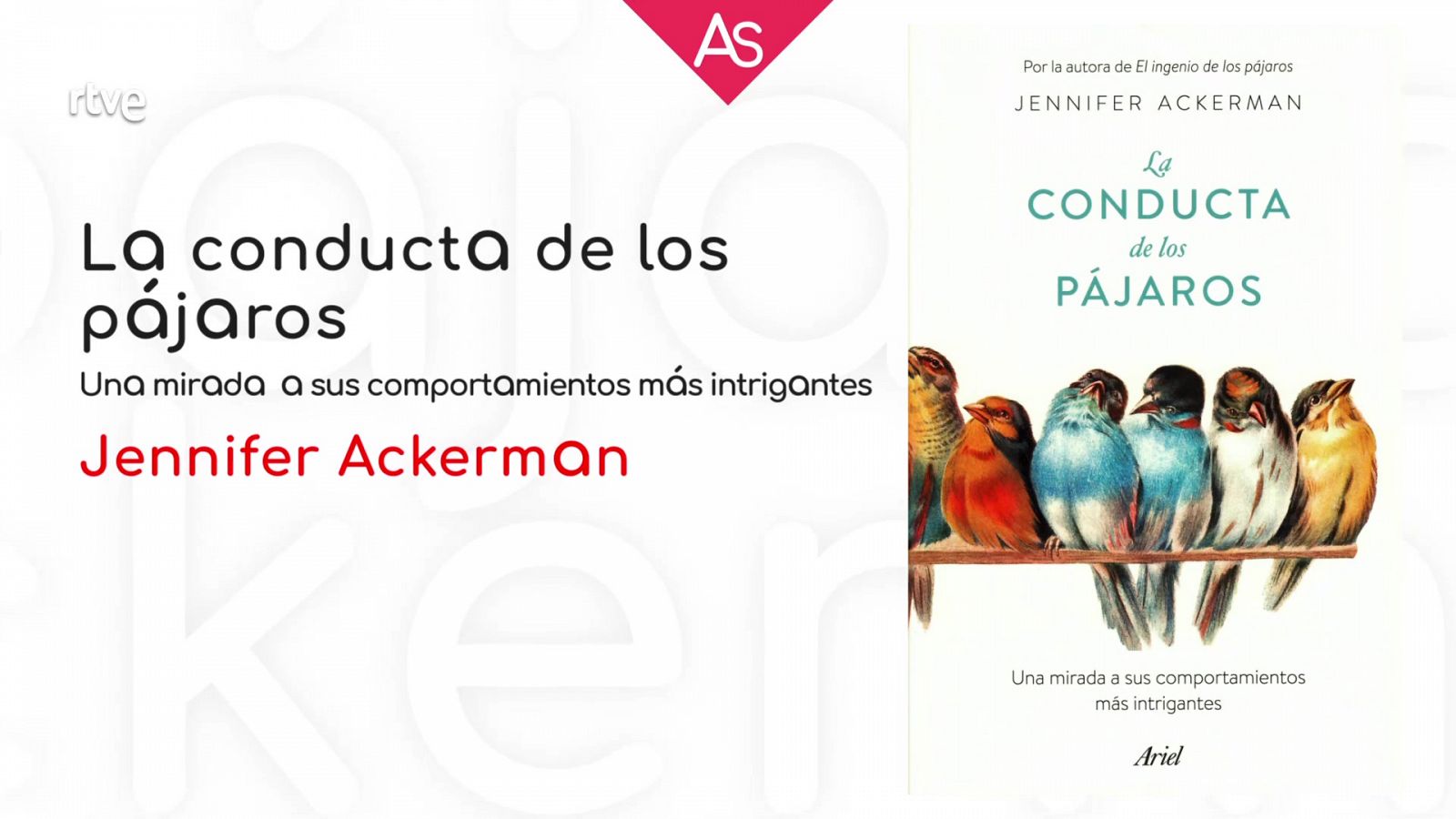 Reseña de 'La conducta de los pájaros' (2021), de Jennifer Ackerman