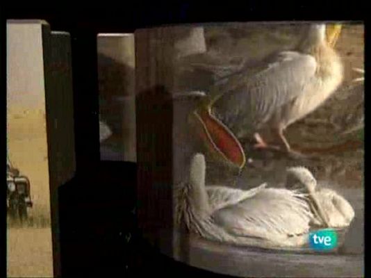 La ruta de los exploradores - El continente misterioso