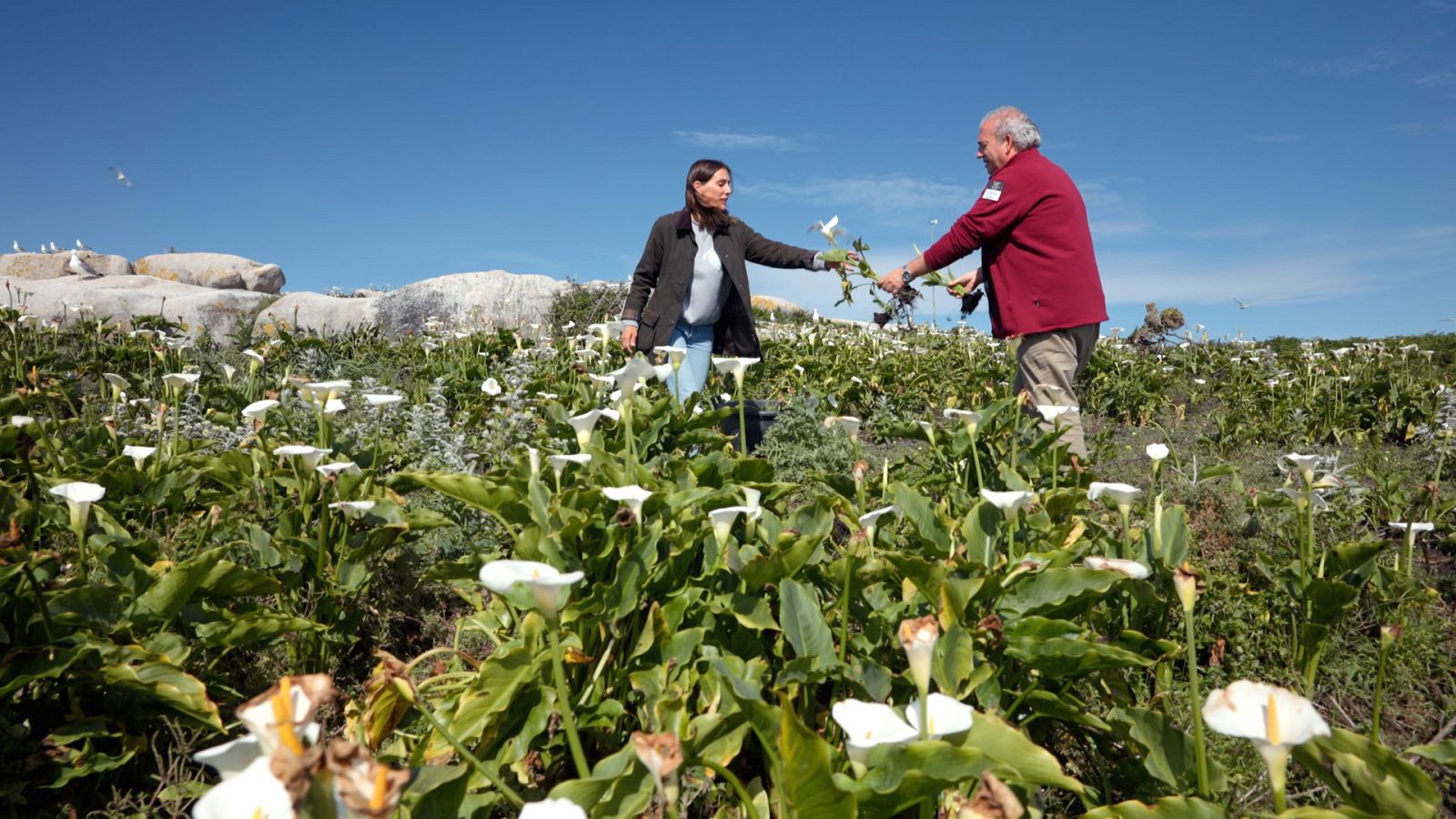 Reduce tu huella - Illas Atlánticas - ver ahora