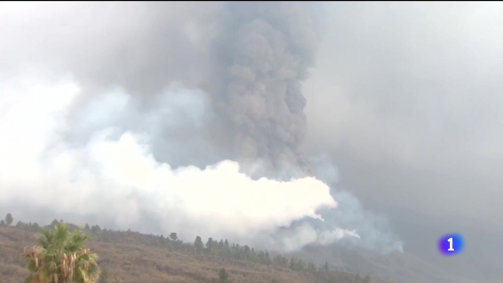 Telecanarias - 18/11/2021