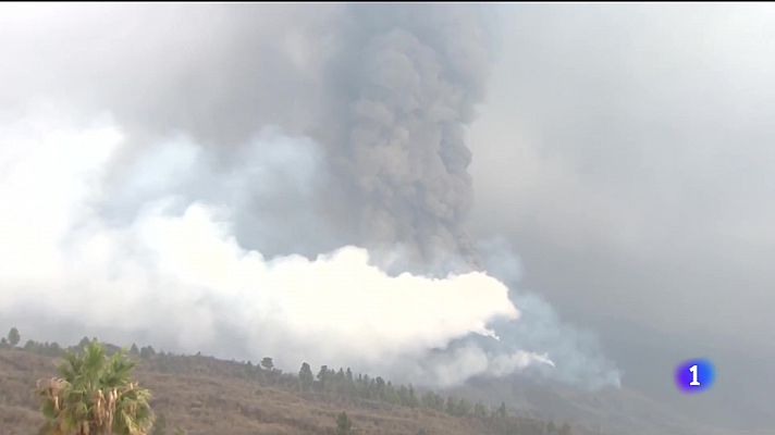 Telecanarias - Telecanarias - 18/11/2021