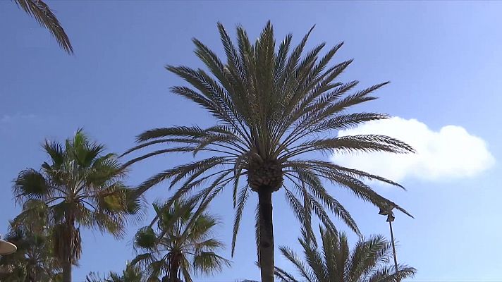 El tiempo - Probables precipitaciones localmente fuertes en el Estrecho, Almería y sur de Valencia