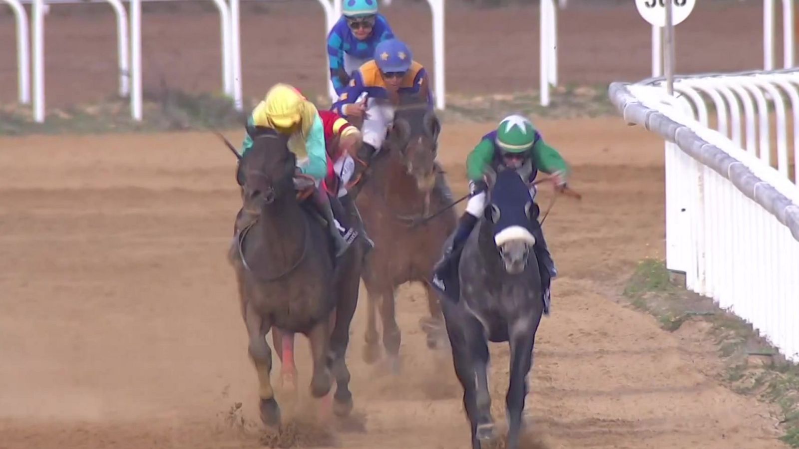 Hípica - Circuito nacional de carreras de caballos desde el Hipódromo de Dos Hermanas (Sevilla) - ver ahora