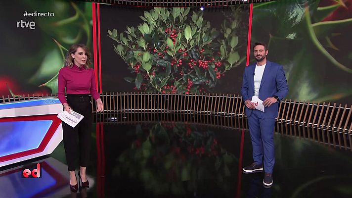 España Directo - España Directo - 18/11/21