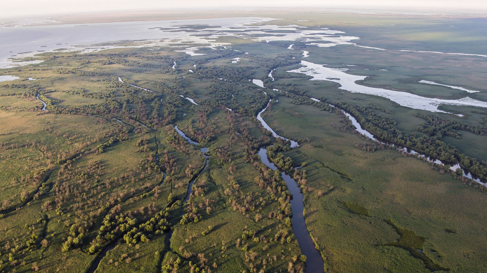 El reino del Volga - Episodio 1: Ha nacido un río - Documental en RTVE