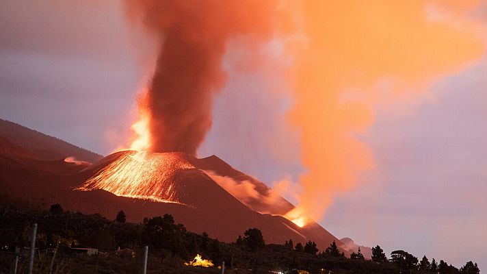 Diario 24 - Diario 24 - 19/11/21 (1)