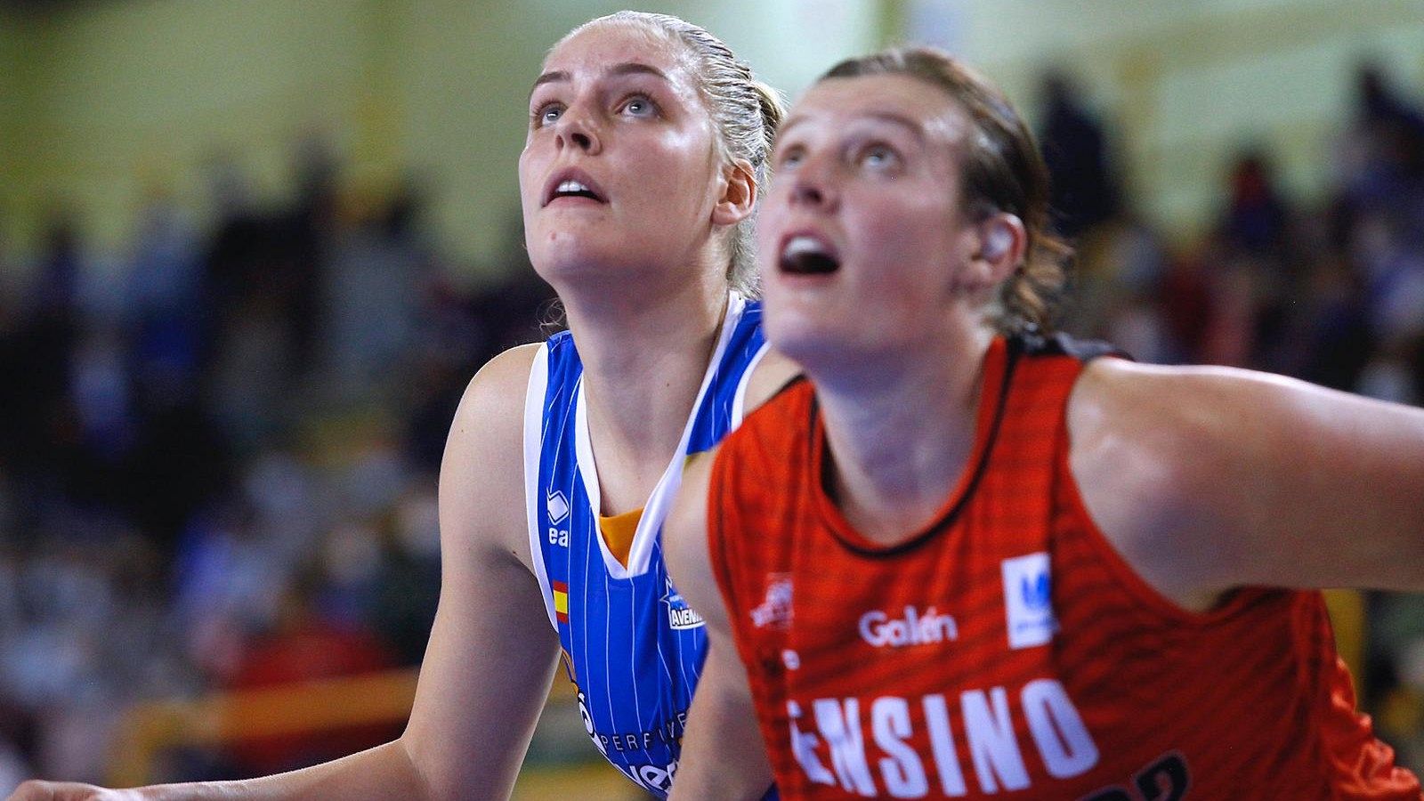 El líder no falla: Perfumerías Avenida, el único equipo invicto