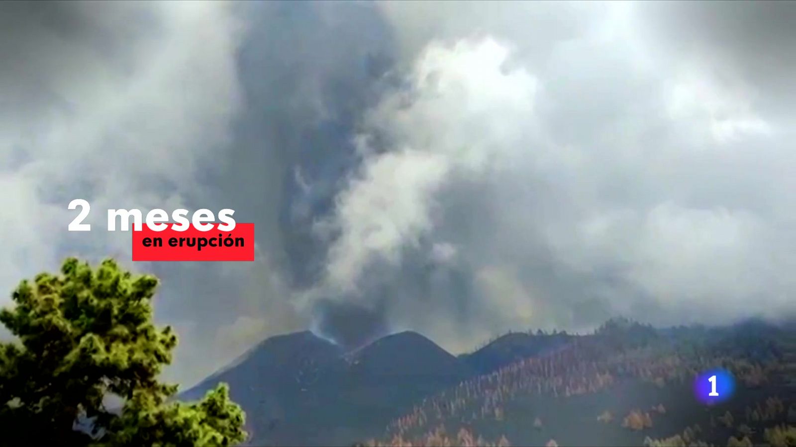 Volcán de La Palma: 1.000 hectáreas afectadas y 7.000 evacuados