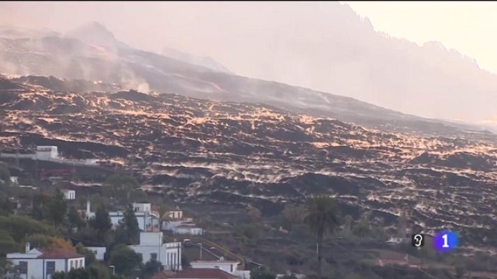 Telecanarias - Telecanarias - 19/11/2021