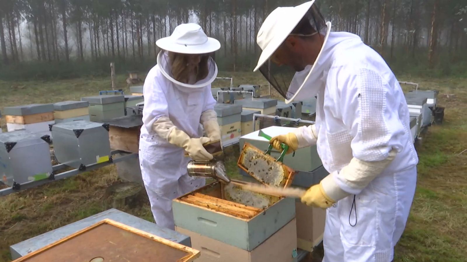 Agrosfera - 20/11/21 - ver ahora