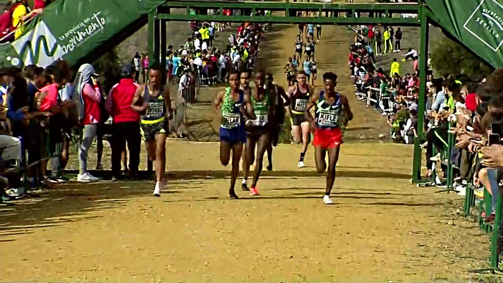 Cross - Cross Internacional de Itálica 2021. Carrera masculina - ver ahora