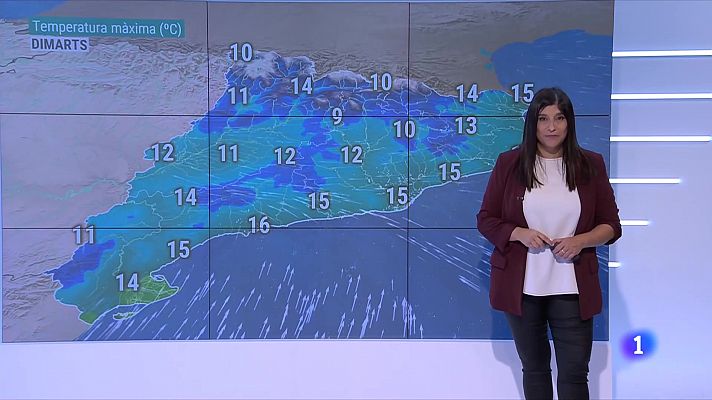 El temps - Pluges abundants, nevades al Pirineu, vent, mala mar i fred