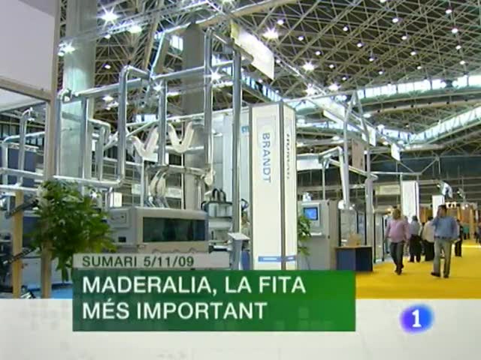 L'Informatiu. Informativo Territorial de la C.Valenciana (05/11/09)