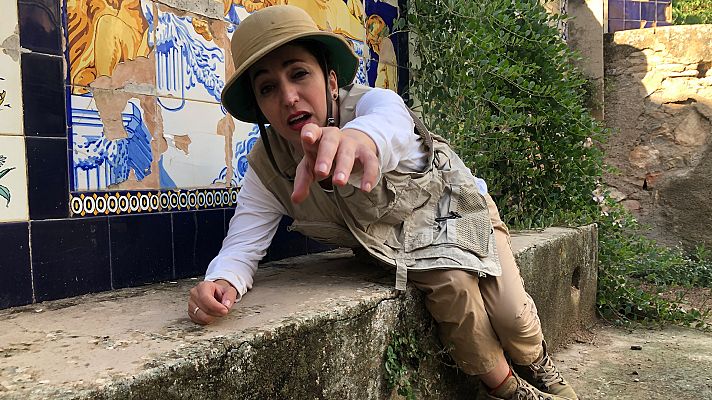 Perduts en el temps - Un oasi de cultura