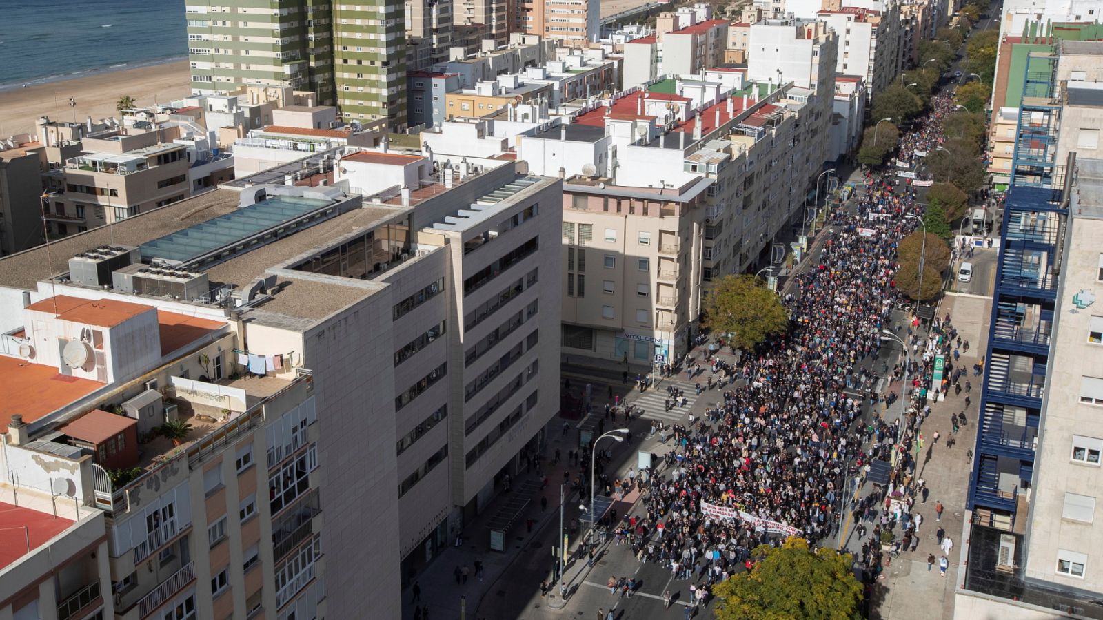 Diario 24 - 23/11/21 (2) - ver ahora