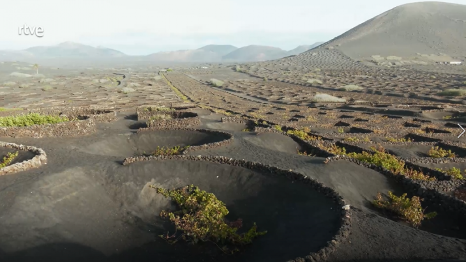 Aquí la Tierra - Un viñedo en un cráter volcánico