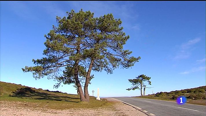Telexornal - Galicia - Baixo Miño e Val Miñor, contra os proxectos eólicos na serra da Groba