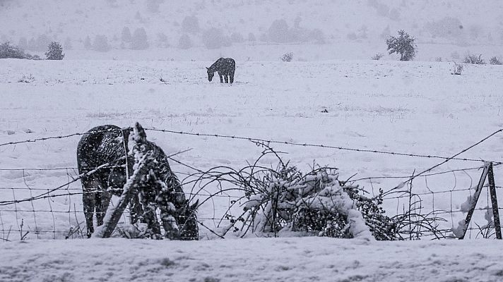 Telediario 1 - El temporal de lluvia y nieve continúa y deja estragos en toda la península
