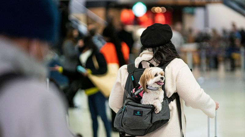 Éxodo en EE.UU. por Acción de Gracias en pleno repunte de la pandemia