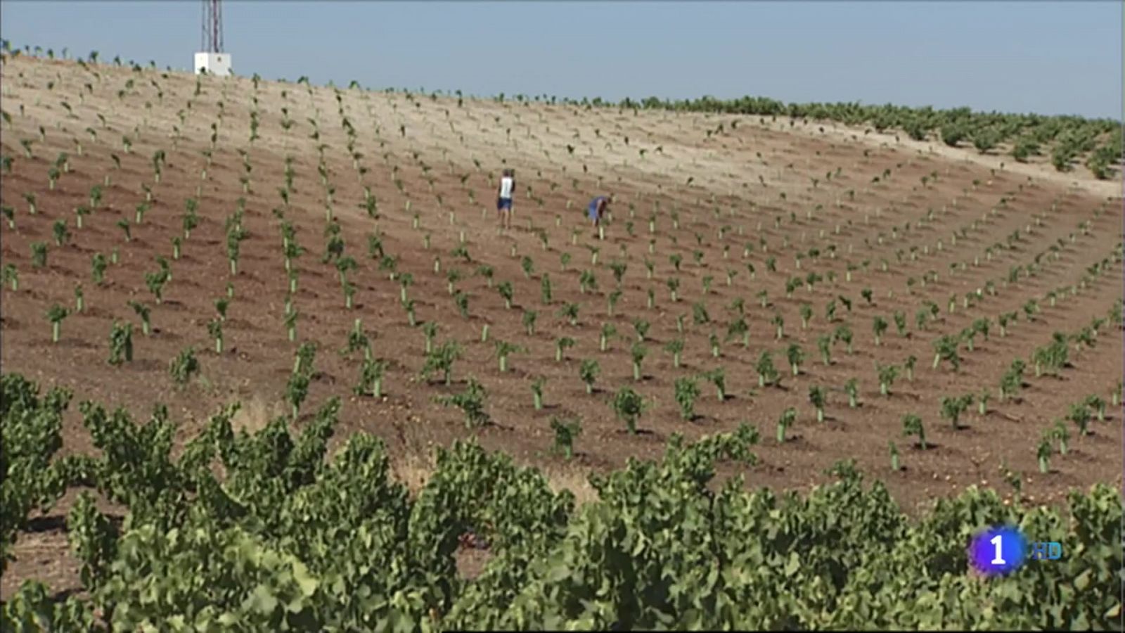 Reacciones a la nueva PAC - 24/11/2021