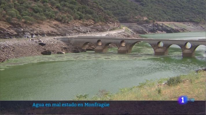 Agua en mal estado en Monfragüe