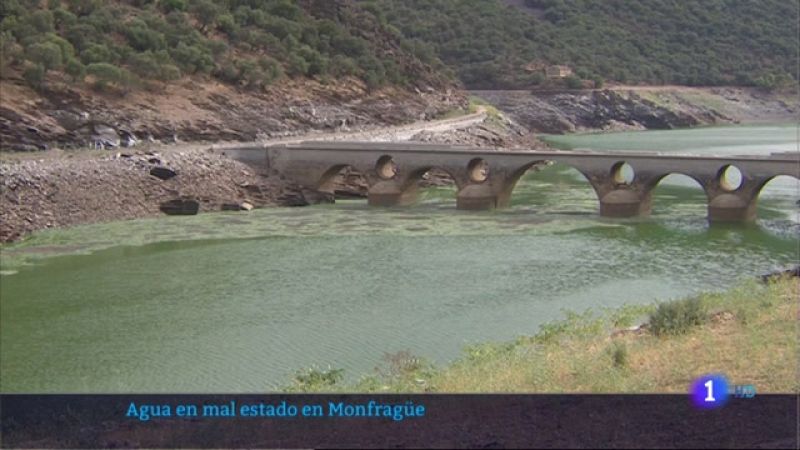 Agua en mal estado en Monfragüe - 24/11/2021
