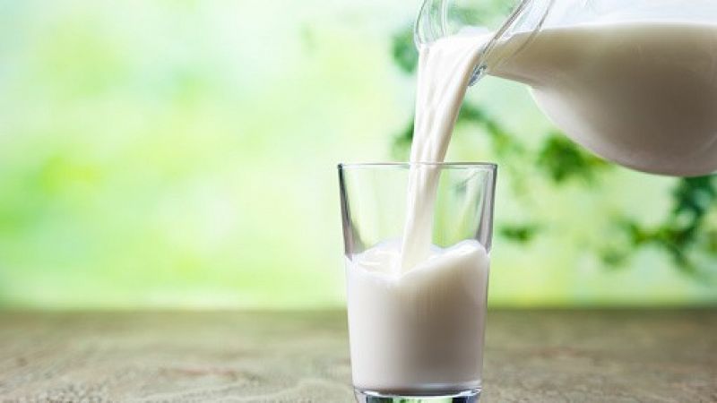 Tomar leche, ¿beneficioso o perjudicial para el organismo?