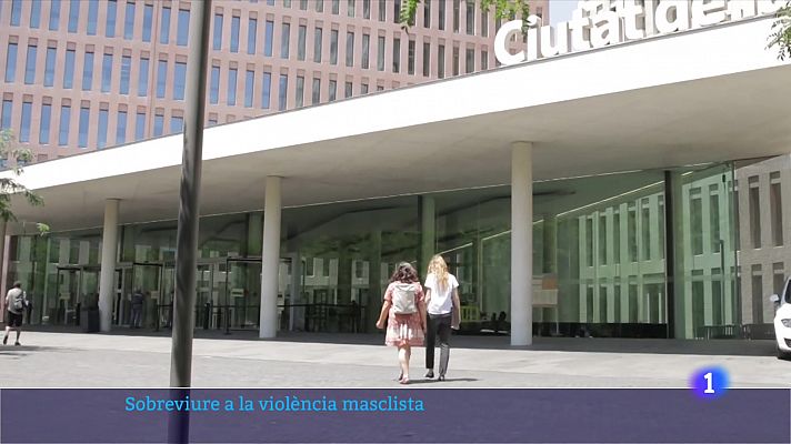 El procés judicial per les víctimes de violència masclista: un calvari per les dones