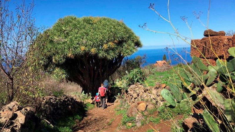 Garafía: el refugio para cientos de desplazados por el ruido del volcán en La Palma