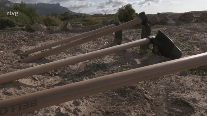 Aquí la Tierra - Descubrimos los nombres que recibe la azada