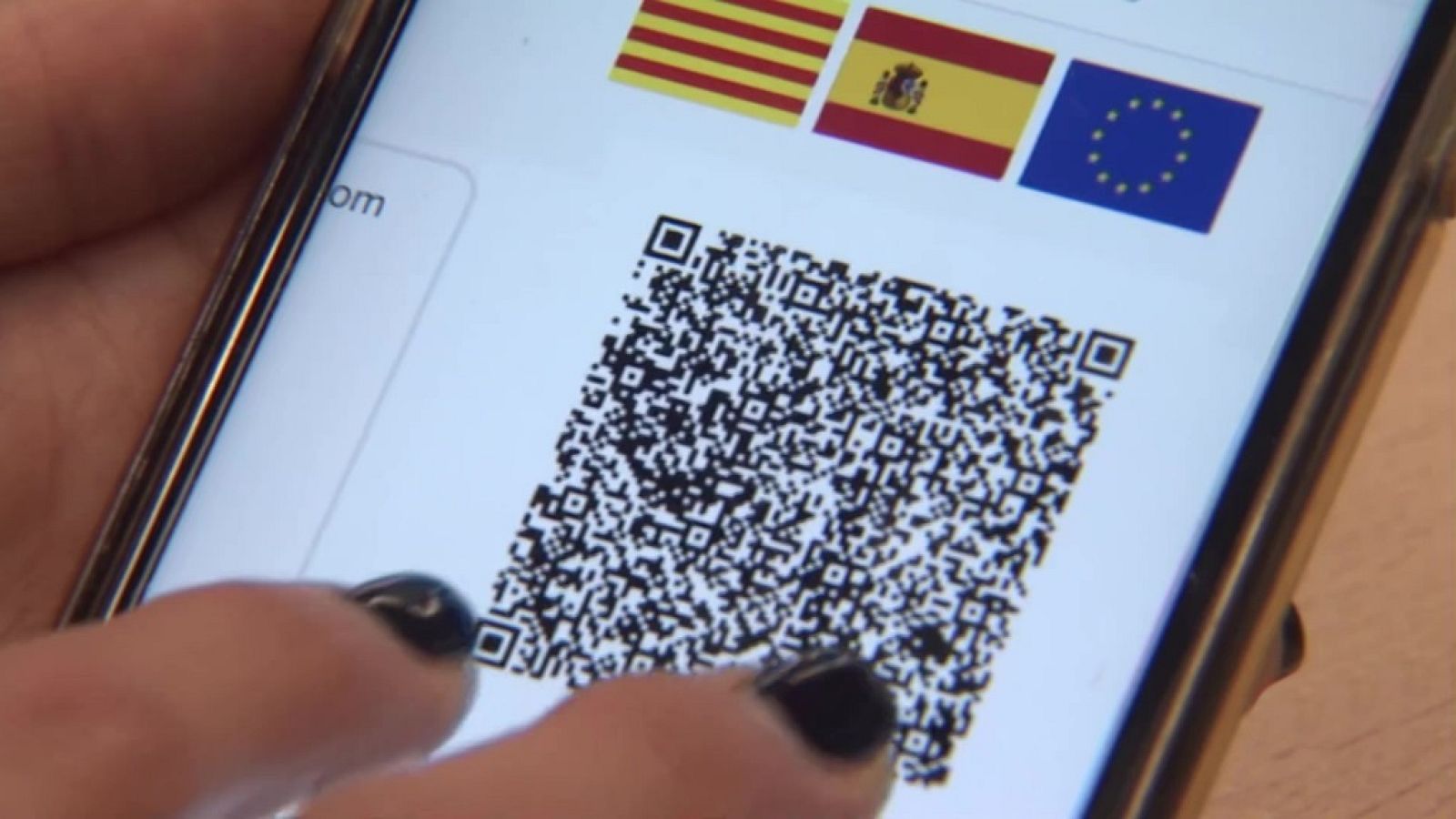 Diario 24 - 26/11/21  (1) - ver ahora