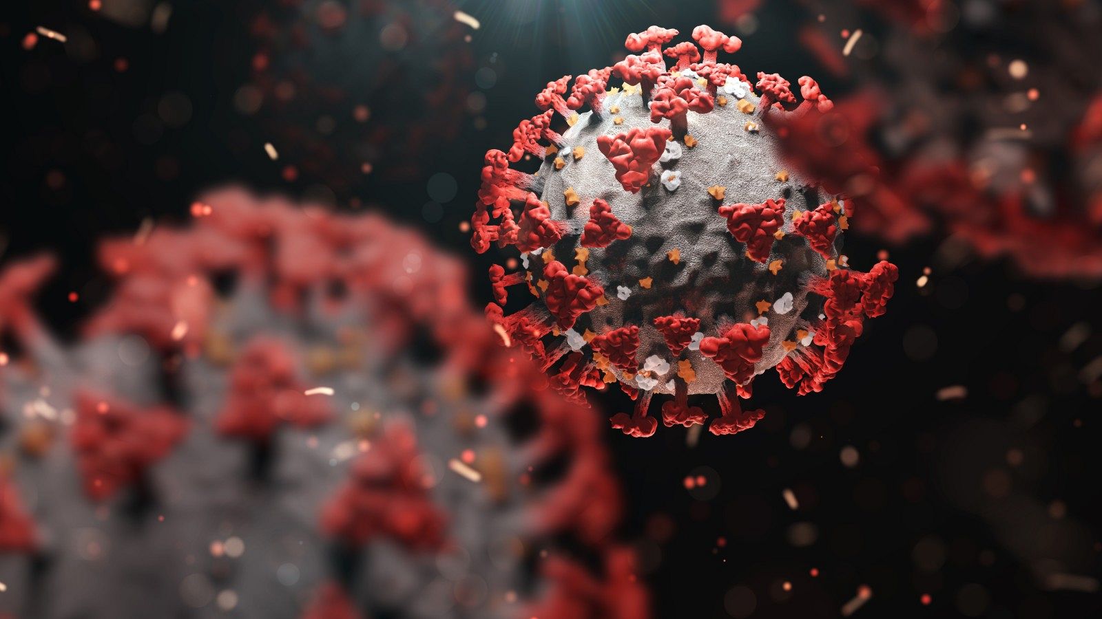 ¿Qué se sabe de Ómicron, la nueva variante del coronavirus?
