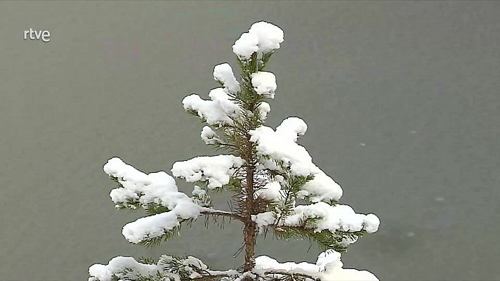 Nevadas en cotas bajas del tercio norte peninsular. Intervalos de viento fuerte en el litoral de Galicia, Cantábrico, valle del Ebro, Ampurdán y Canarias