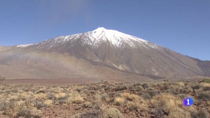 Telecanarias - Telecanarias - 27/11/2021