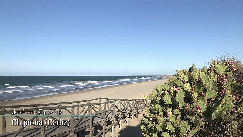 Nevadas en cotas bajas de la mitad norte peninsular. Intervalos de viento fuerte en el litoral de Galicia, Cantábrico, valle del Ebro, Ampurdán, zonas montañosas, Baleares y Canarias - ver ahora