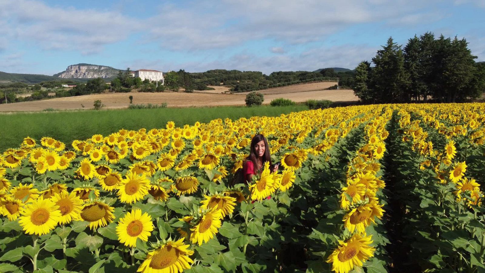 ¡Qué animal! - Comunicación - ver ahora
