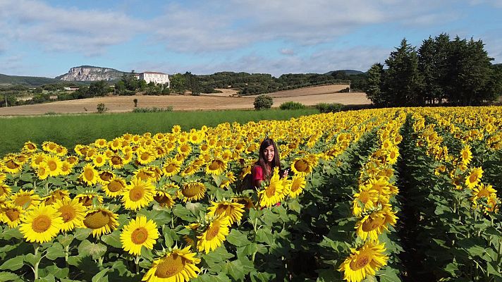 ¡Qué animal! - Comunicación