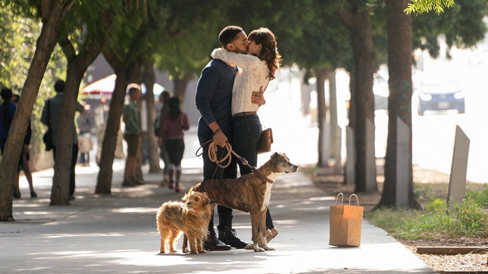 Sesión de tarde - I love dogs - Cine internacional | Ver película