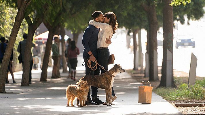 Cine internacional - I love dogs